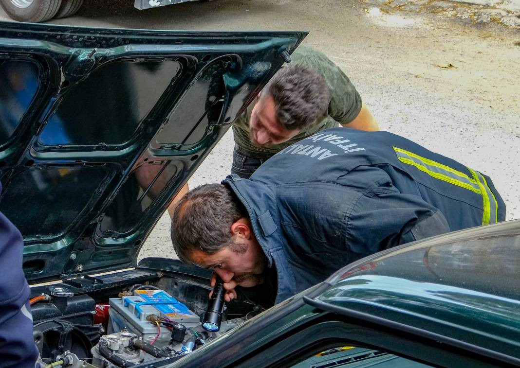 Yılanları mıknatıs gibi çeken 4 nokta belli oldu! Evinde olanlar dikkat - Resim: 5
